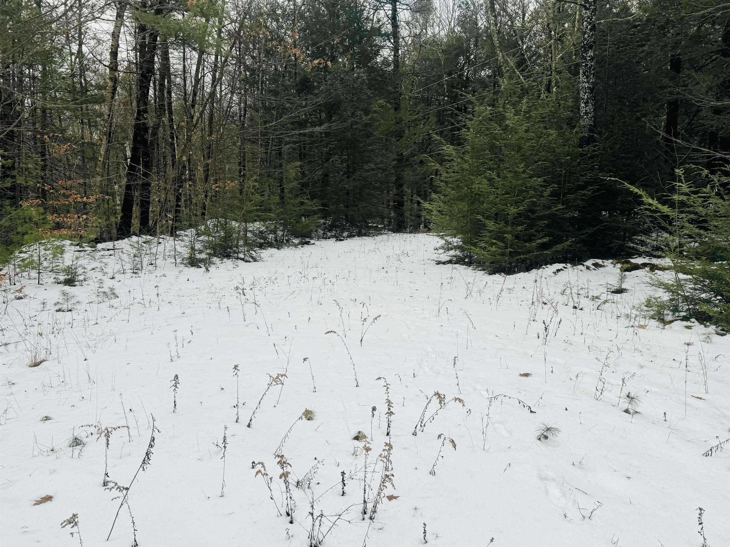 0 Daniels Hill Road Keene, NH 03431 - Photo 8 of 10