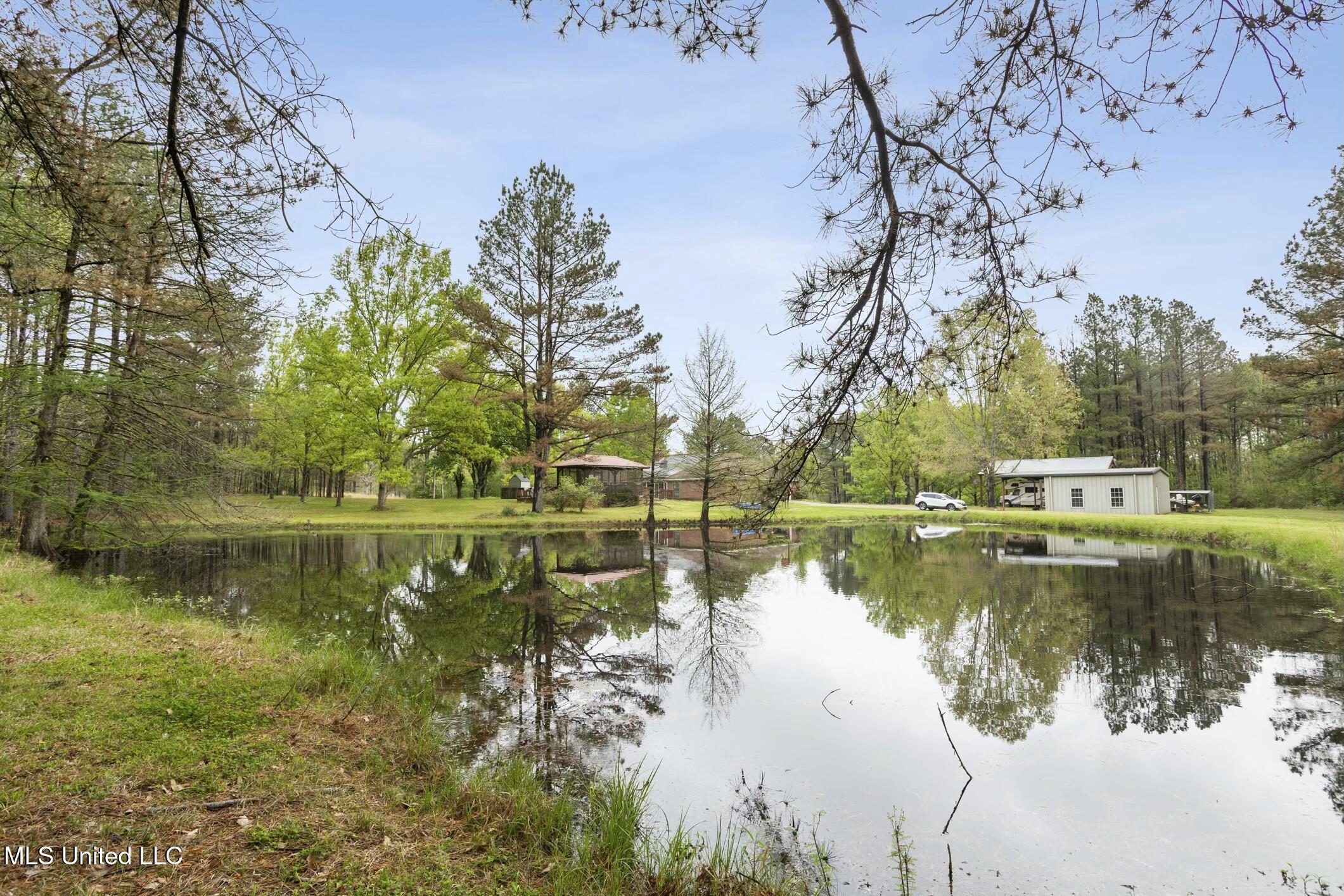 137 Falcon Ridge Drive Raymond, MS 39154 - Photo 39 of 52 tempImageBkDI5j