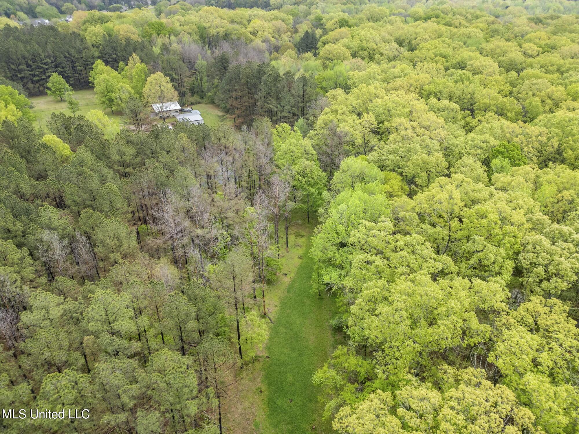 137 Falcon Ridge Drive Raymond, MS 39154 - Photo 46 of 52 tempImage5vJz2F