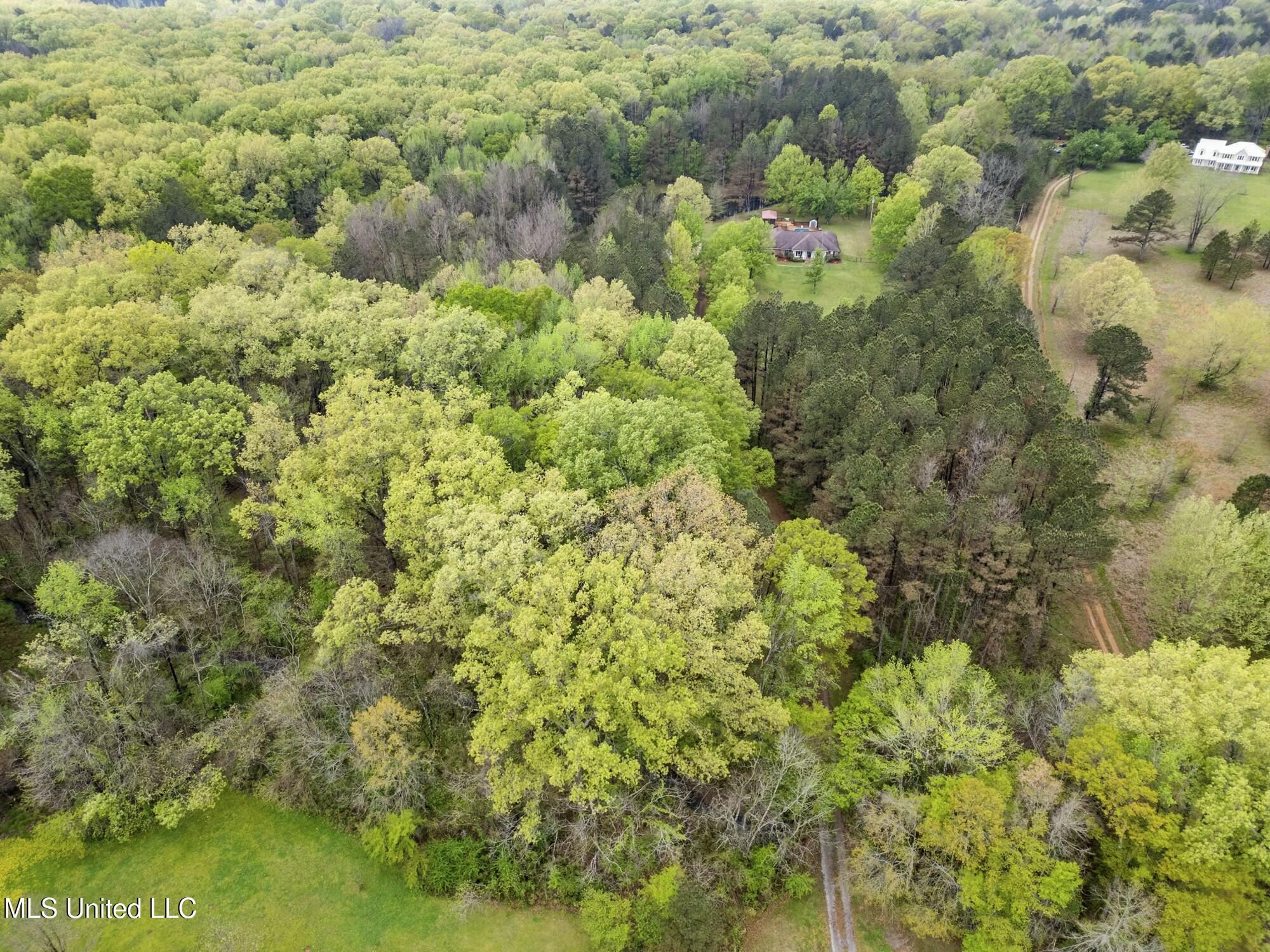 137 Falcon Ridge Drive Raymond, MS 39154 - Photo 51 of 52 tempImage4u5HnQ