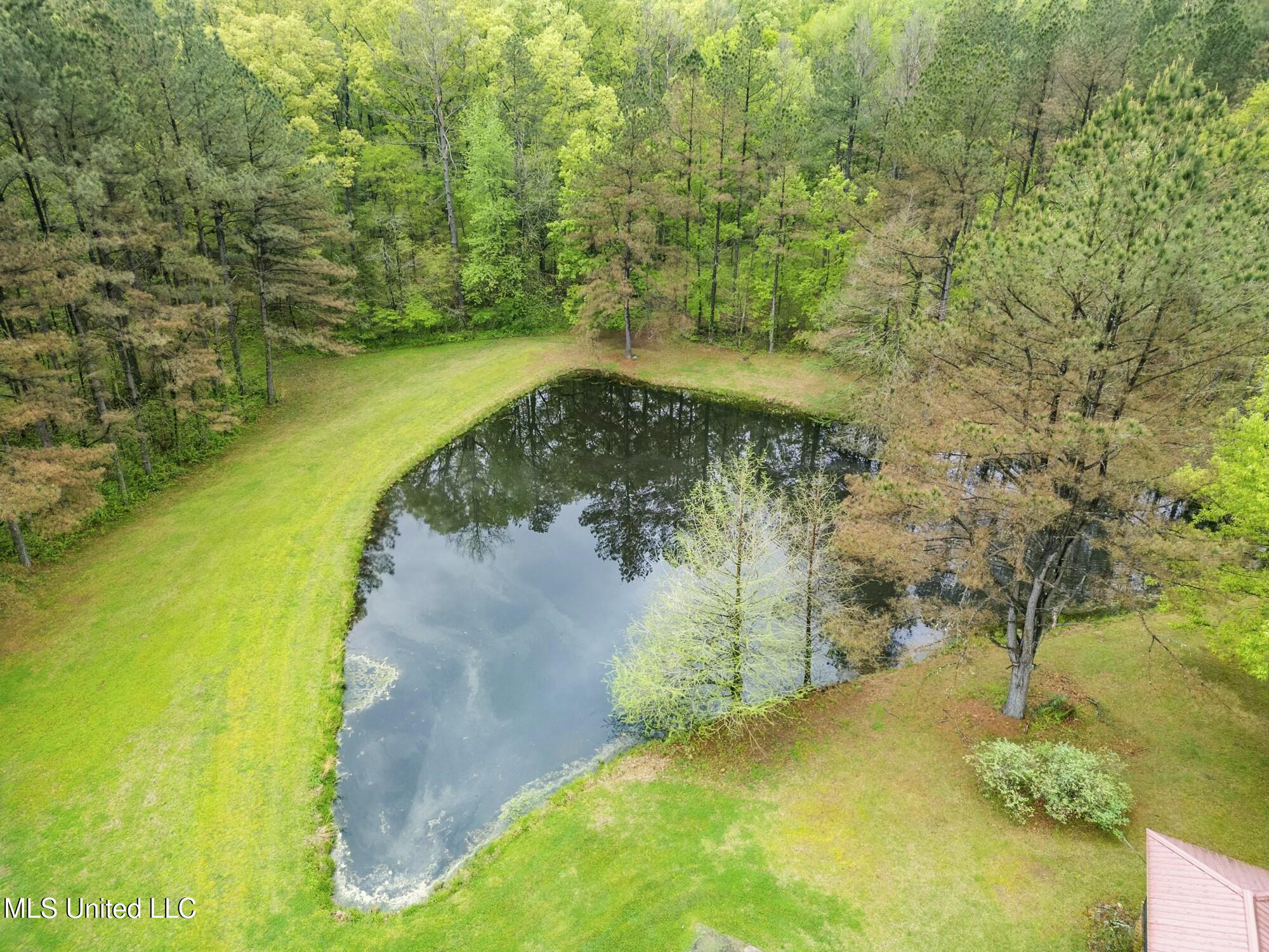 137 Falcon Ridge Drive Raymond, MS 39154 - Photo 6 of 52 tempImagezSdc1o