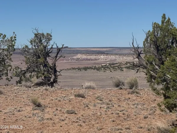 $35,000 | Lot 96 Bonito Valley Ranch, Unit 96, St. Johns, AZ 85936