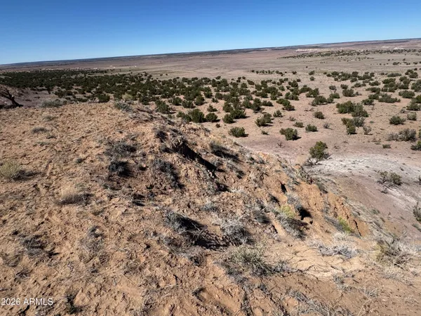 $35,000 | Lot 96 Bonito Valley Ranch, Unit 96, St. Johns, AZ 85936