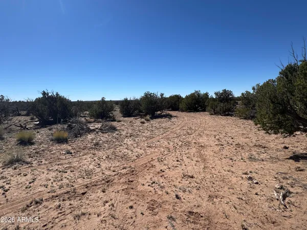 $35,000 | Lot 96 Bonito Valley Ranch, Unit 96, St. Johns, AZ 85936