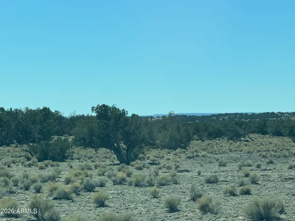 $35,000 | Lot 96 Bonito Valley Ranch, Unit 96, St. Johns, AZ 85936