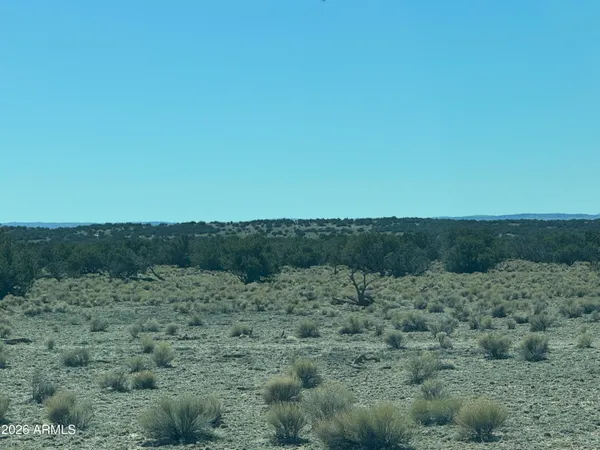$35,000 | Lot 96 Bonito Valley Ranch, Unit 96, St. Johns, AZ 85936