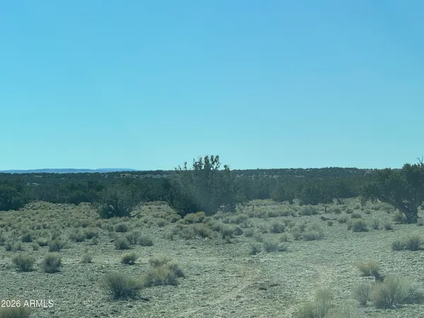 $35,000 | Lot 96 Bonito Valley Ranch, Unit 96, St. Johns, AZ 85936