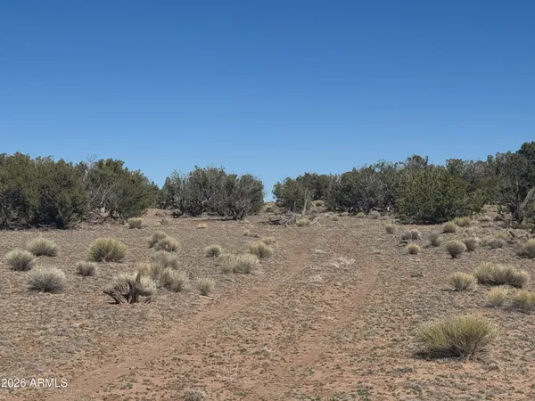 $35,000 | Lot 96 Bonito Valley Ranch, Unit 96, St. Johns, AZ 85936