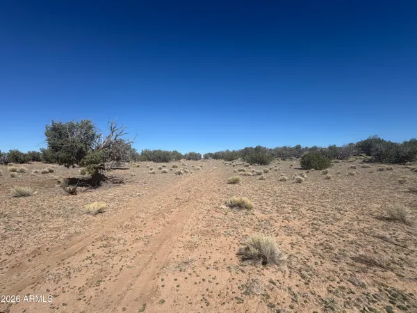 $35,000 | Lot 96 Bonito Valley Ranch, Unit 96, St. Johns, AZ 85936