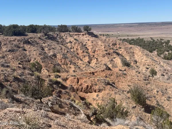 $35,000 | Lot 96 Bonito Valley Ranch, Unit 96, St. Johns, AZ 85936