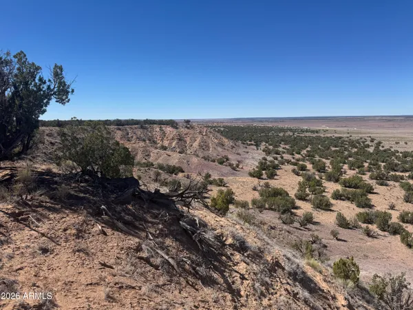 $35,000 | Lot 96 Bonito Valley Ranch, Unit 96, St. Johns, AZ 85936