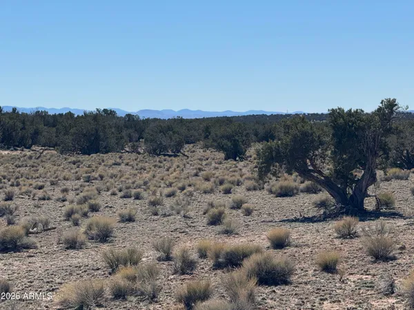$35,000 | Lot 96 Bonito Valley Ranch, Unit 96, St. Johns, AZ 85936