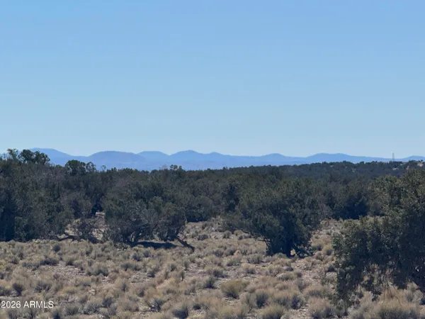 $35,000 | Lot 96 Bonito Valley Ranch, Unit 96, St. Johns, AZ 85936