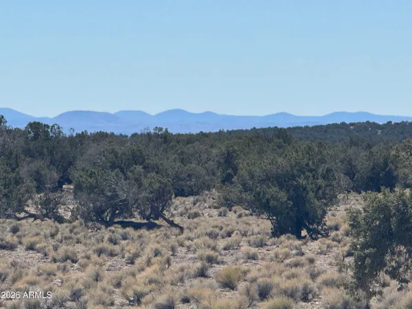 $35,000 | Lot 96 Bonito Valley Ranch, Unit 96, St. Johns, AZ 85936