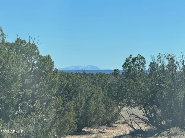 $35,000 | Lot 96 Bonito Valley Ranch, Unit 96, St. Johns, AZ 85936
