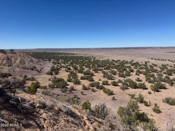 $35,000 | Lot 96 Bonito Valley Ranch, Unit 96, St. Johns, AZ 85936