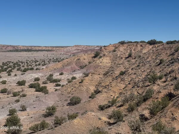$35,000 | Lot 96 Bonito Valley Ranch, Unit 96, St. Johns, AZ 85936