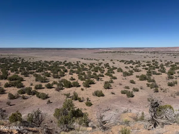 $35,000 | Lot 96 Bonito Valley Ranch, Unit 96, St. Johns, AZ 85936