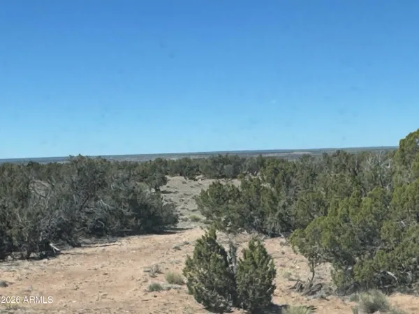 $35,000 | Lot 96 Bonito Valley Ranch, Unit 96, St. Johns, AZ 85936