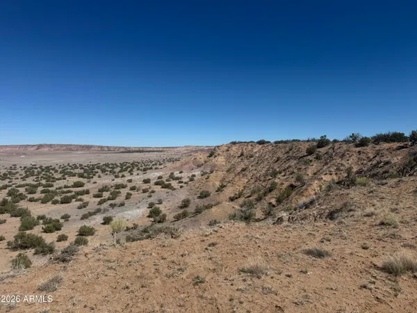 $35,000 | Lot 96 Bonito Valley Ranch, Unit 96, St. Johns, AZ 85936