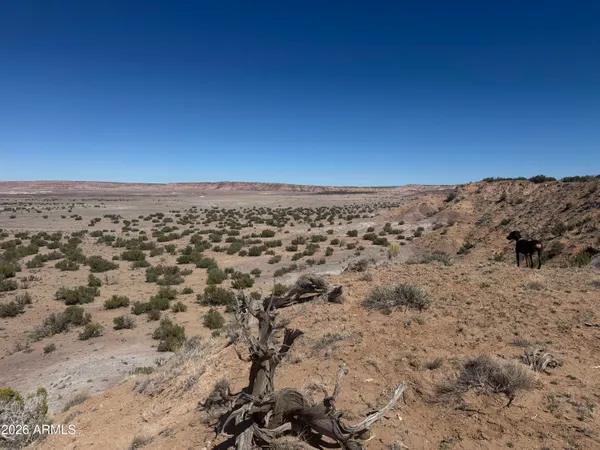 $35,000 | Lot 96 Bonito Valley Ranch, Unit 96, St. Johns, AZ 85936