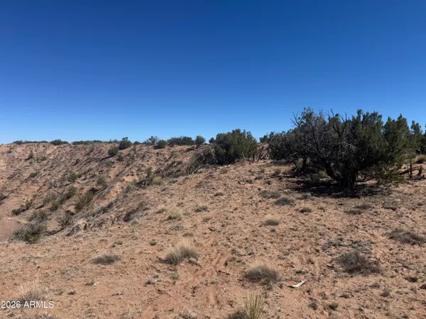 $35,000 | Lot 96 Bonito Valley Ranch, Unit 96, St. Johns, AZ 85936