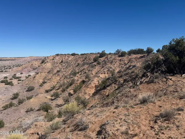 $35,000 | Lot 96 Bonito Valley Ranch, Unit 96, St. Johns, AZ 85936