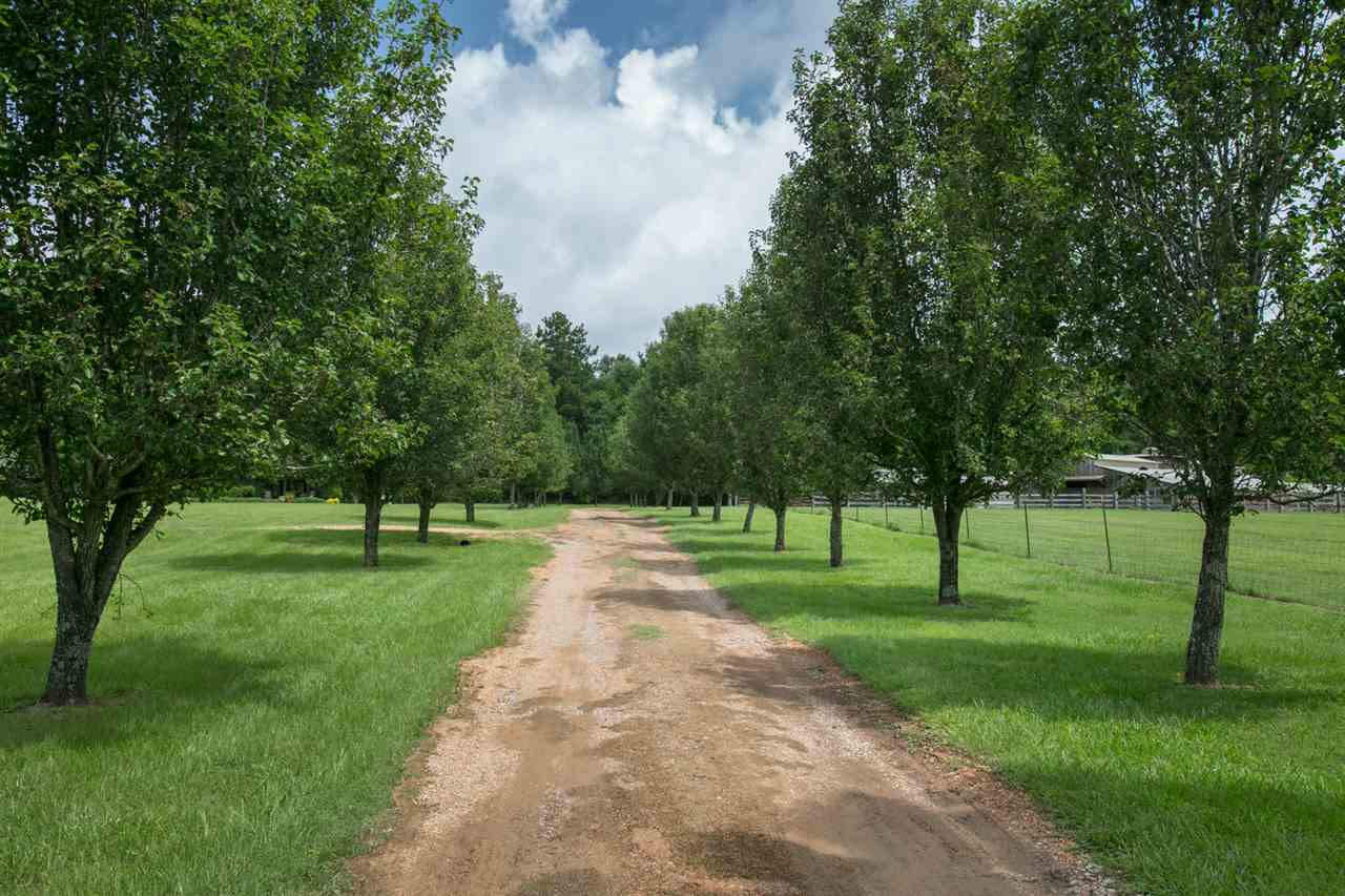 848 A A Old Agency Road Ridgeland, MS 39157 - Photo 31 of 42 Photo 31