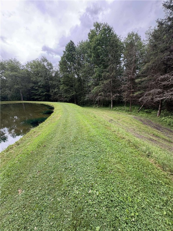 186 Pigeon Hill Road Plymouth, NY 13844 - Photo 24 of 28