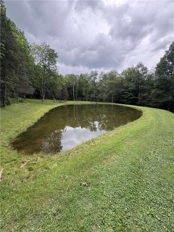 186 Pigeon Hill Road Plymouth, NY 13844 - Photo 26 of 28