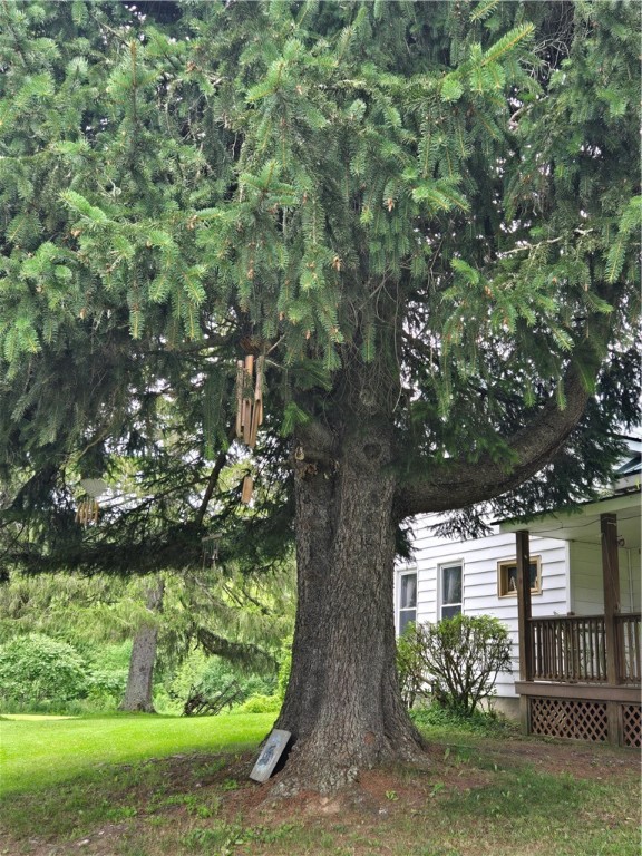 186 Pigeon Hill Road Plymouth, NY 13844 - Photo 4 of 28