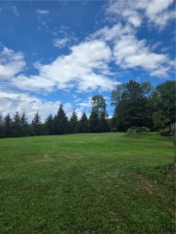 186 Pigeon Hill Road Plymouth, NY 13844 - Photo 8 of 28