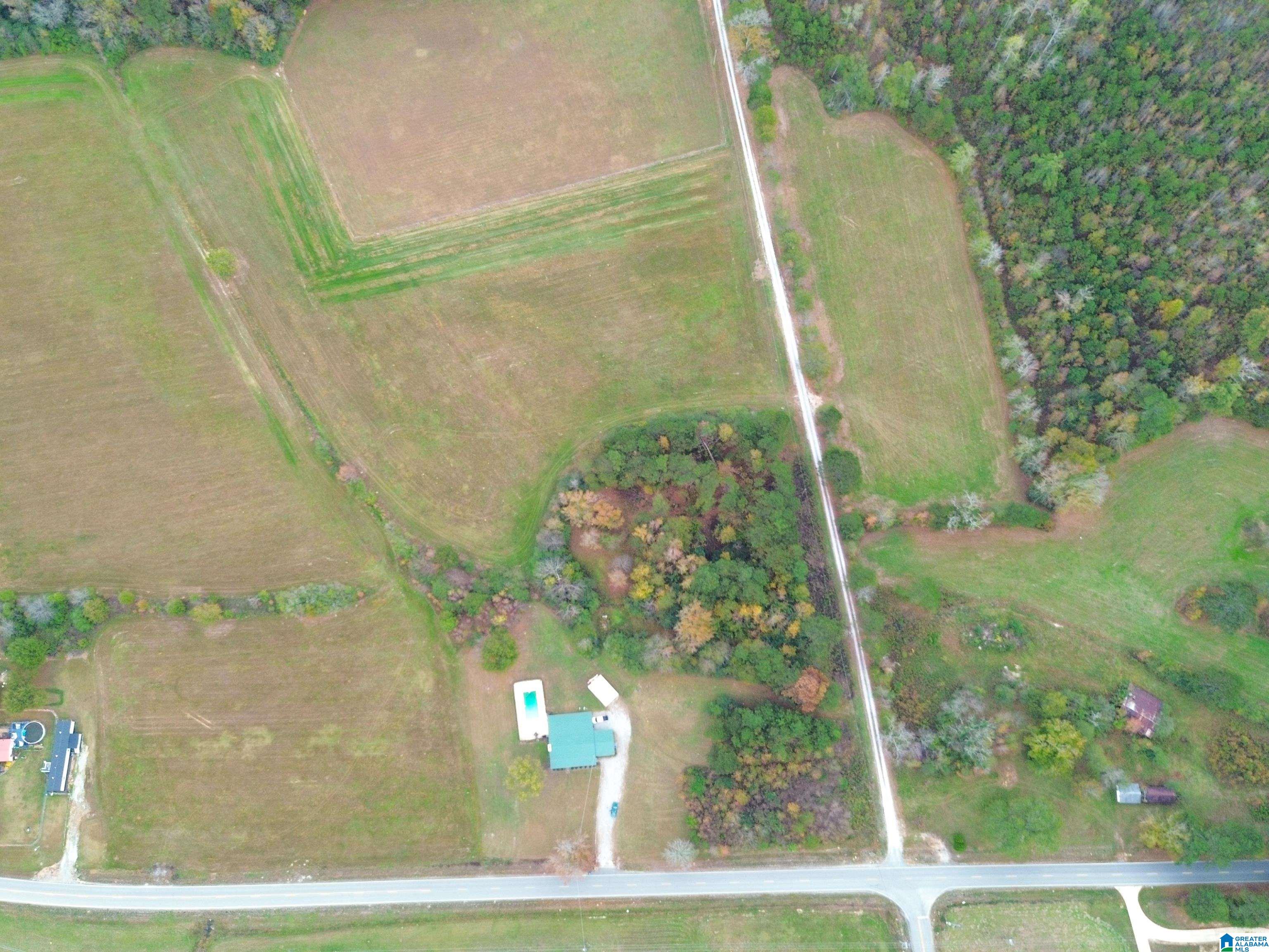 6070 Roy Webb Road Piedmont, AL 36272 - Photo 53 of 68