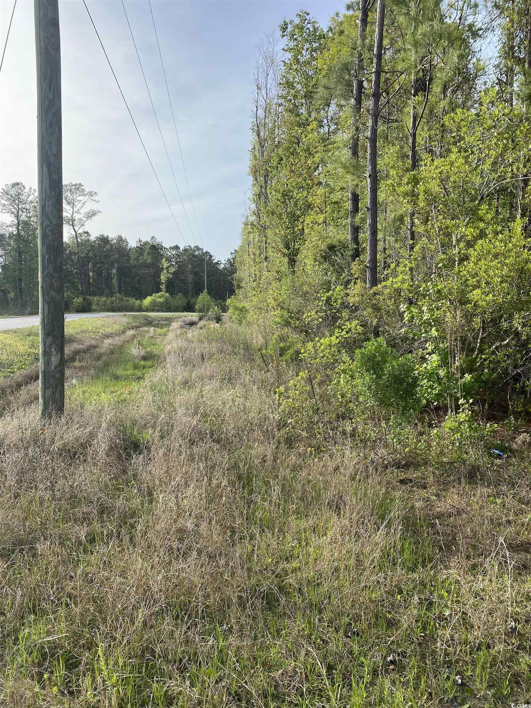 9.61-acres Hugo Road Conway, SC 29527 - Photo 3 of 4