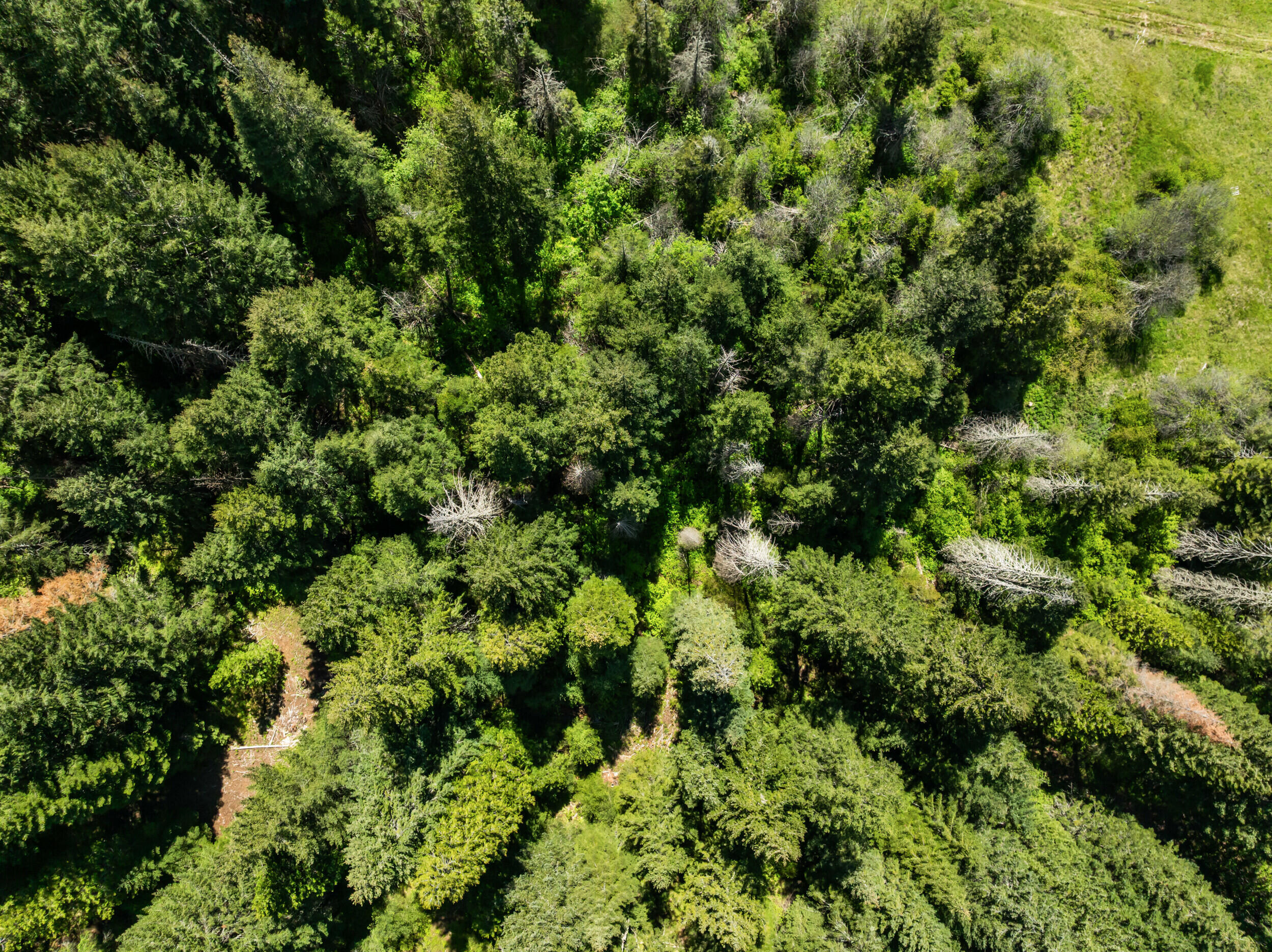 25232 Highway 140 Eagle Point, OR 97524 - Photo 38 of 51 39_25232 or-140, eagle point-drone-09