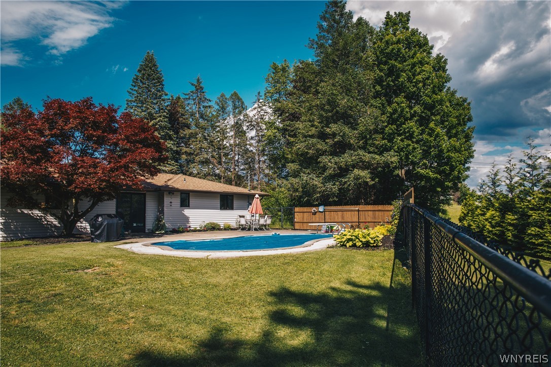 728 Four Rod Road Alden, NY 14004 - Photo 9 of 50 Inground Beauty Pool