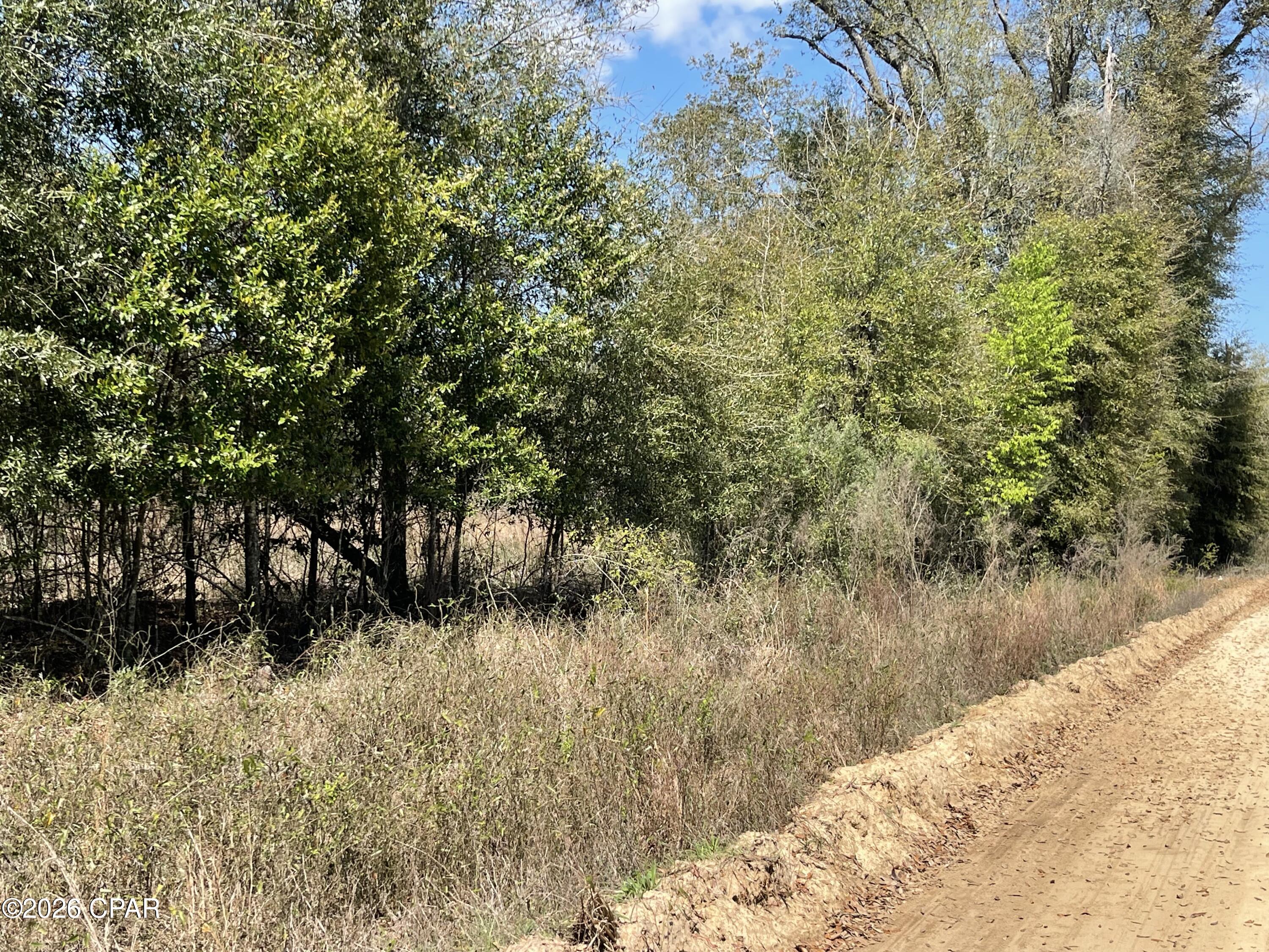 0 Speights Way Bascom, FL 32423 - Photo 3 of 9