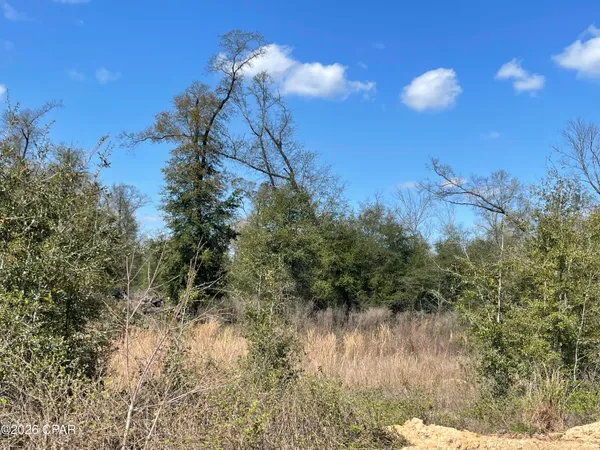 $110,000 | 0 Speights Way, Bascom, FL 32423