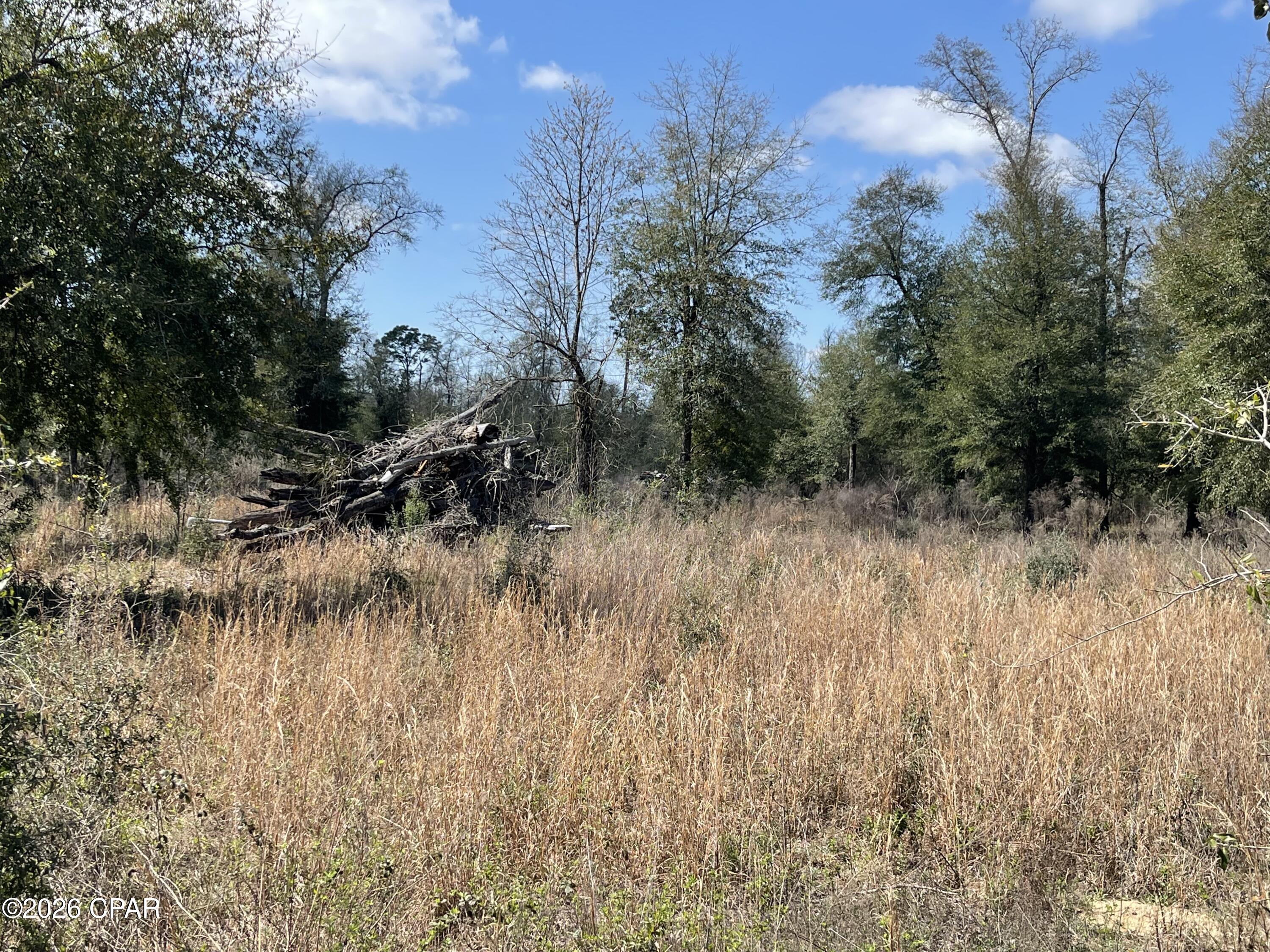 0 Speights Way Bascom, FL 32423 - Photo 5 of 9