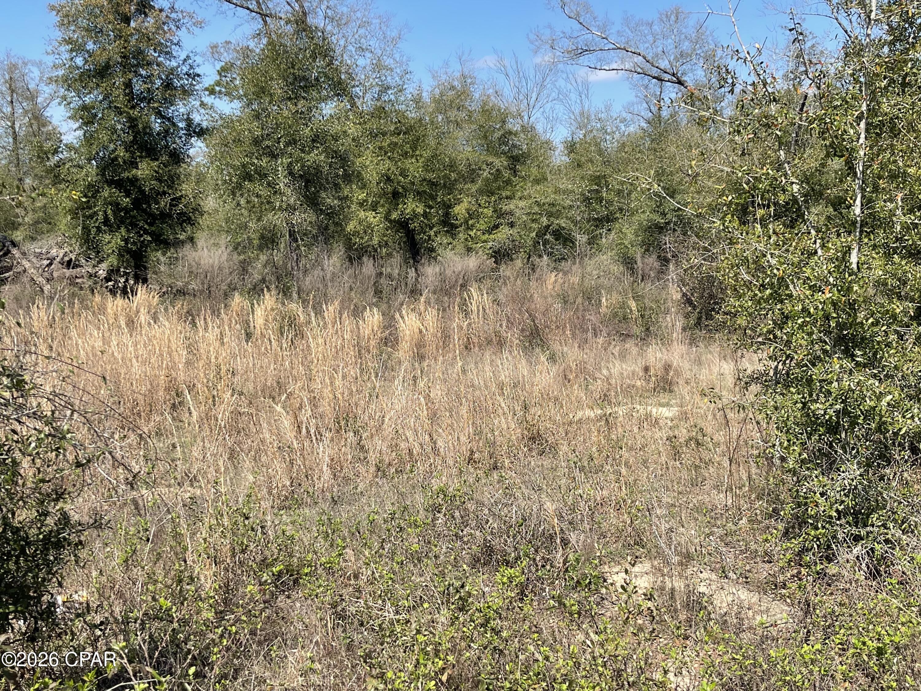 0 Speights Way Bascom, FL 32423 - Photo 6 of 9