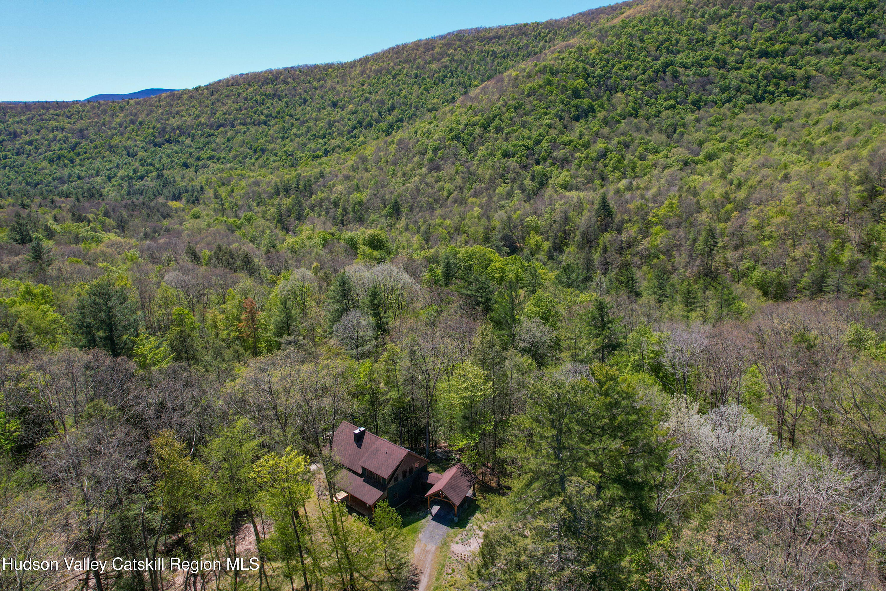 29 Fichtner Road Phoenicia, NY 12464 - Photo 61 of 64 a view of a forest with a mountain