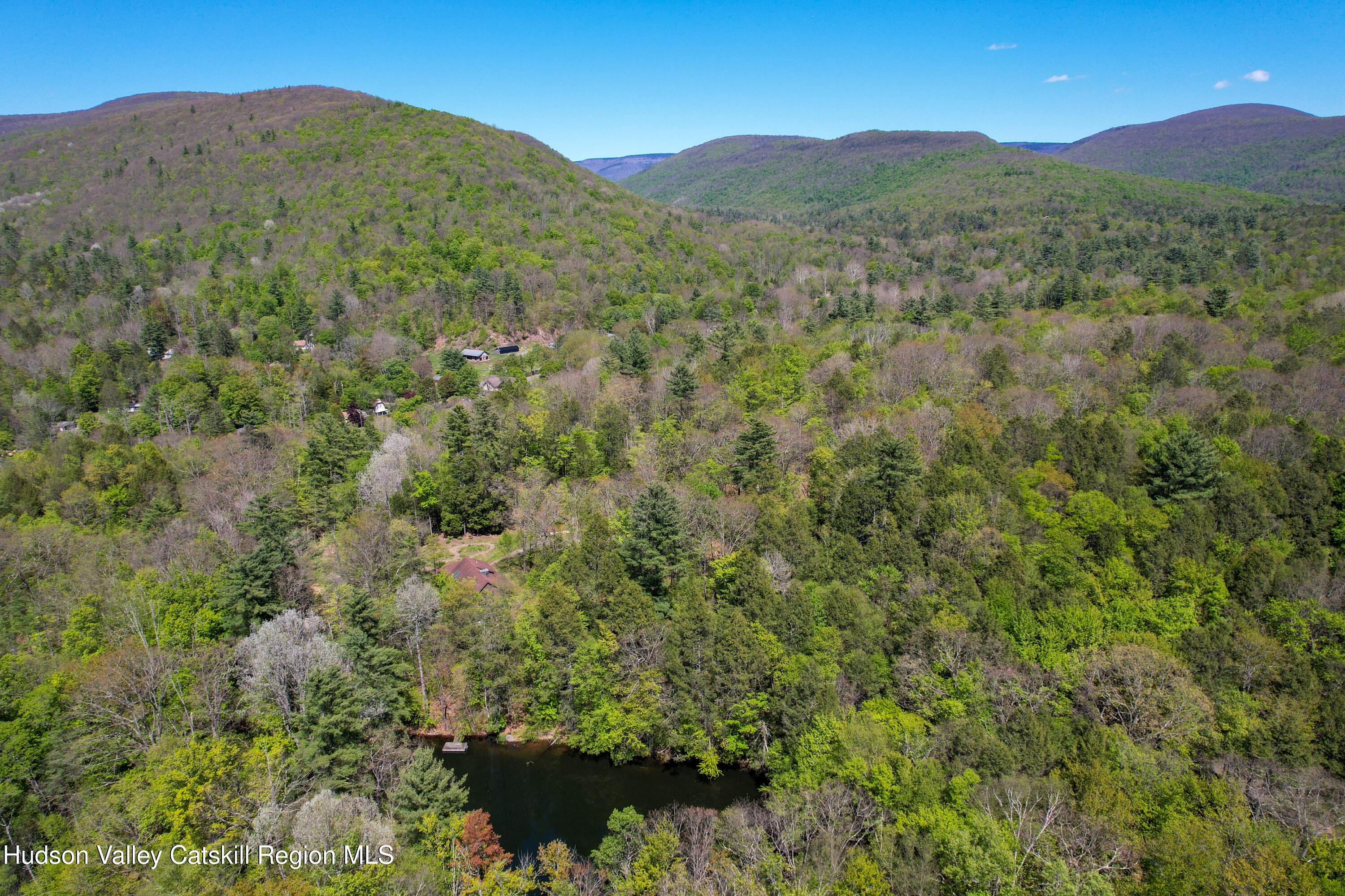 29 Fichtner Road Phoenicia, NY 12464 - Photo 64 of 64 a view of a mountain range with lush green forest