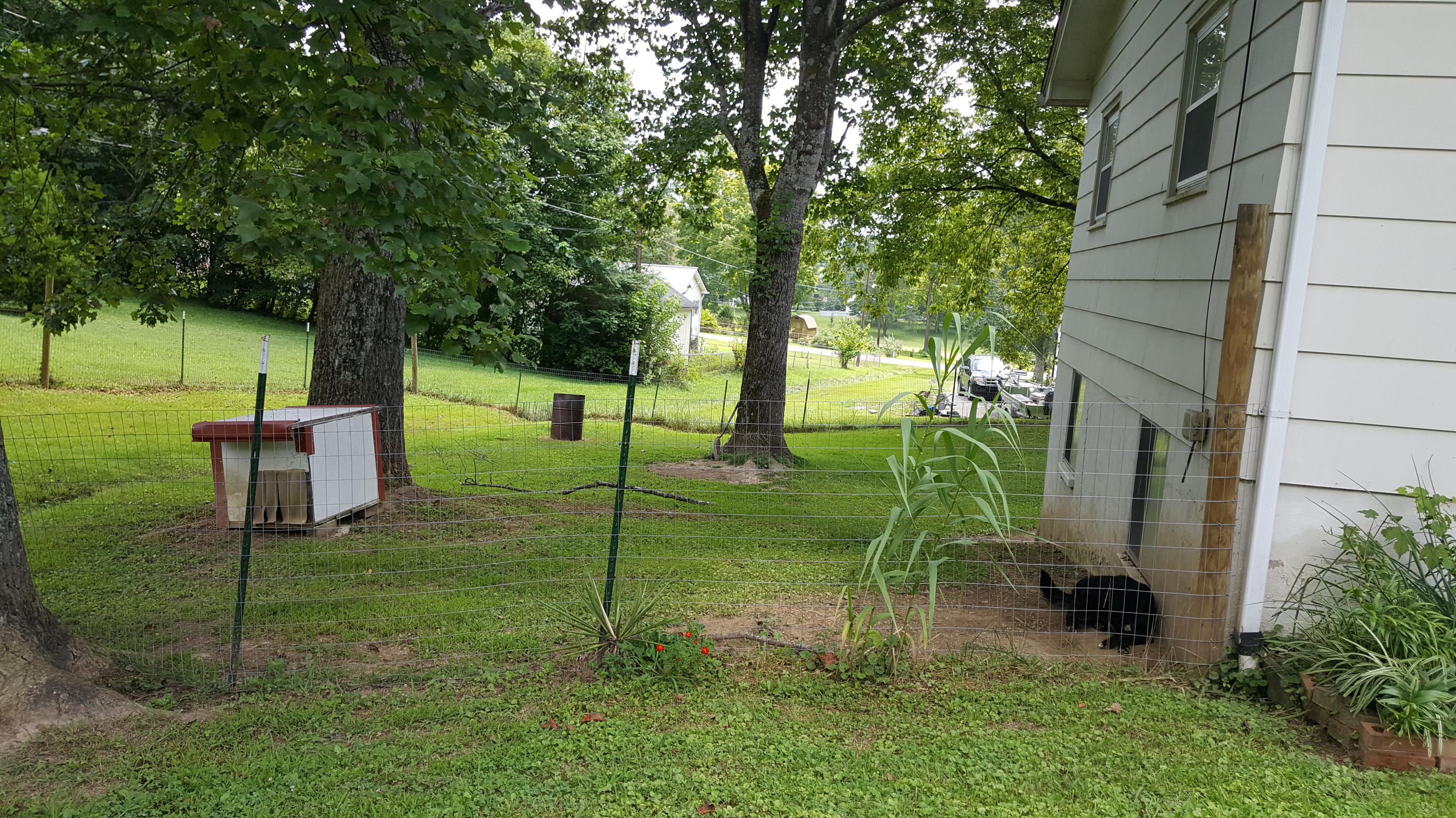 245 Mountain View Road Caryville, TN 37714 - Photo 27 of 33 245 Mtn. View Pic 2