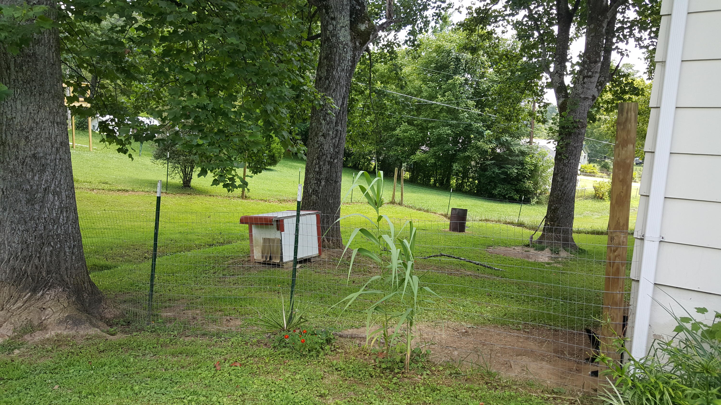 245 Mountain View Road Caryville, TN 37714 - Photo 32 of 33 245 Mtn. View Pic 1