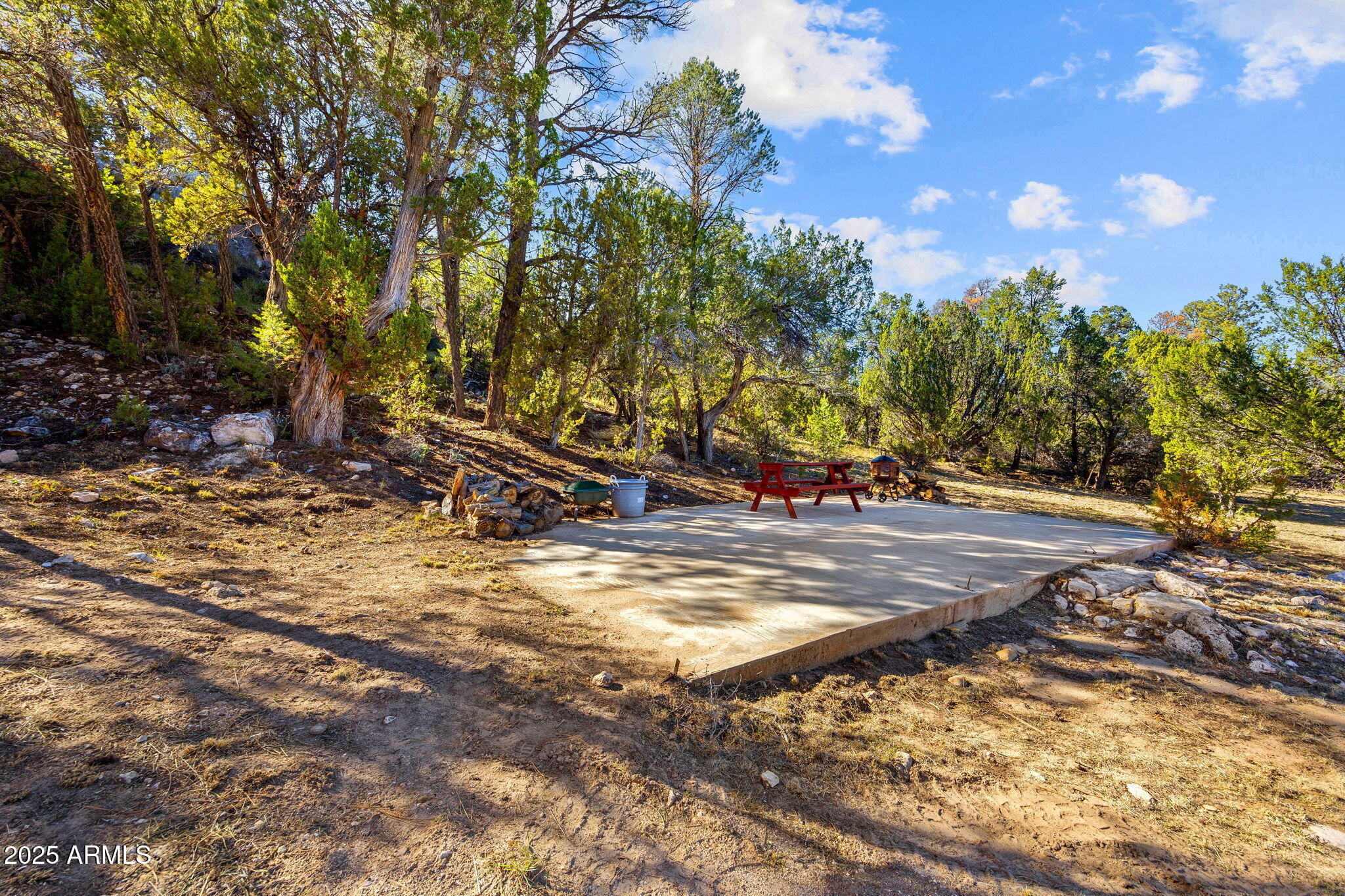 3684 Diamondback Drive Overgaard, AZ 85933 - Photo 23 of 36 a view of a yard with plants and trees