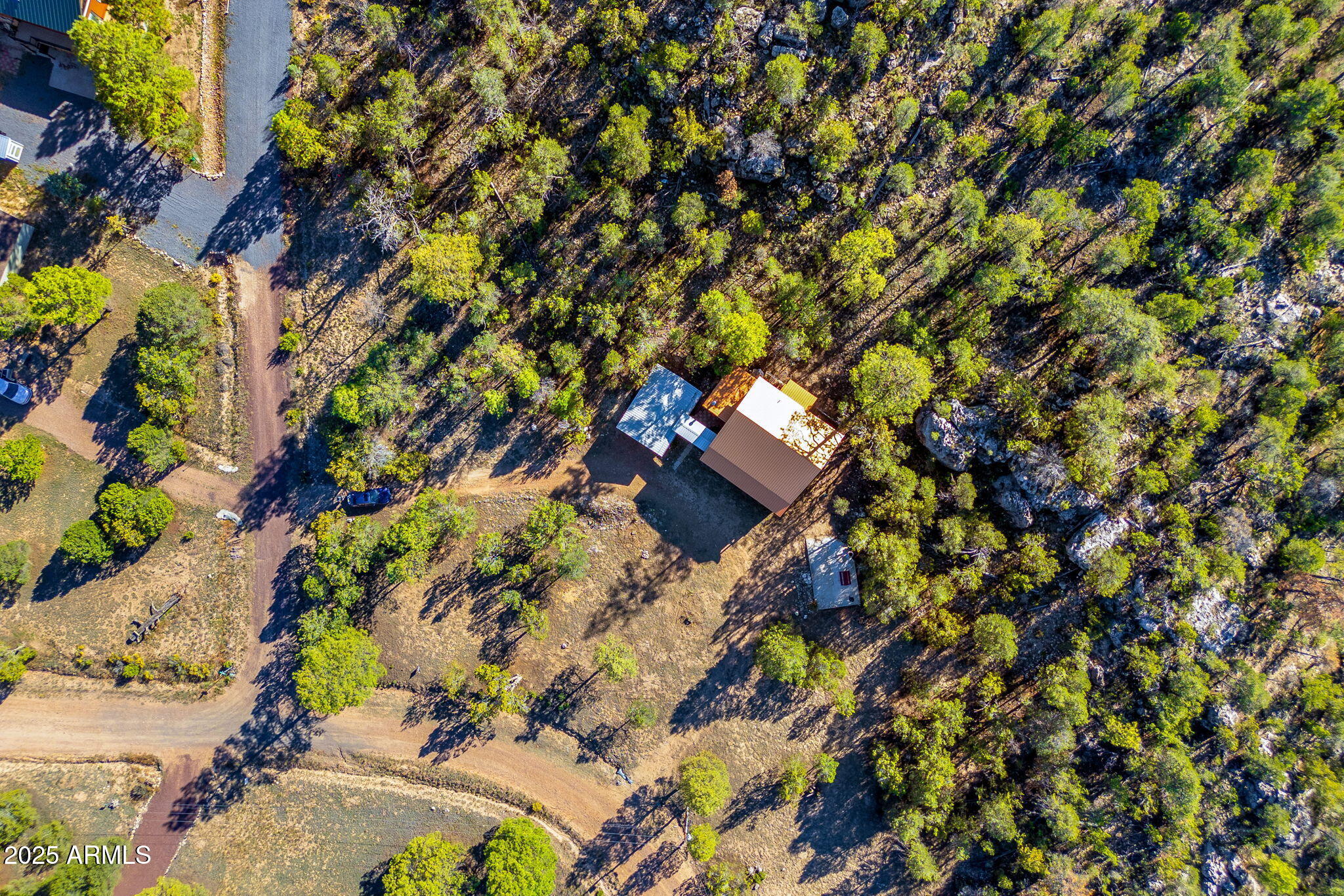 3684 Diamondback Drive Overgaard, AZ 85933 - Photo 24 of 36