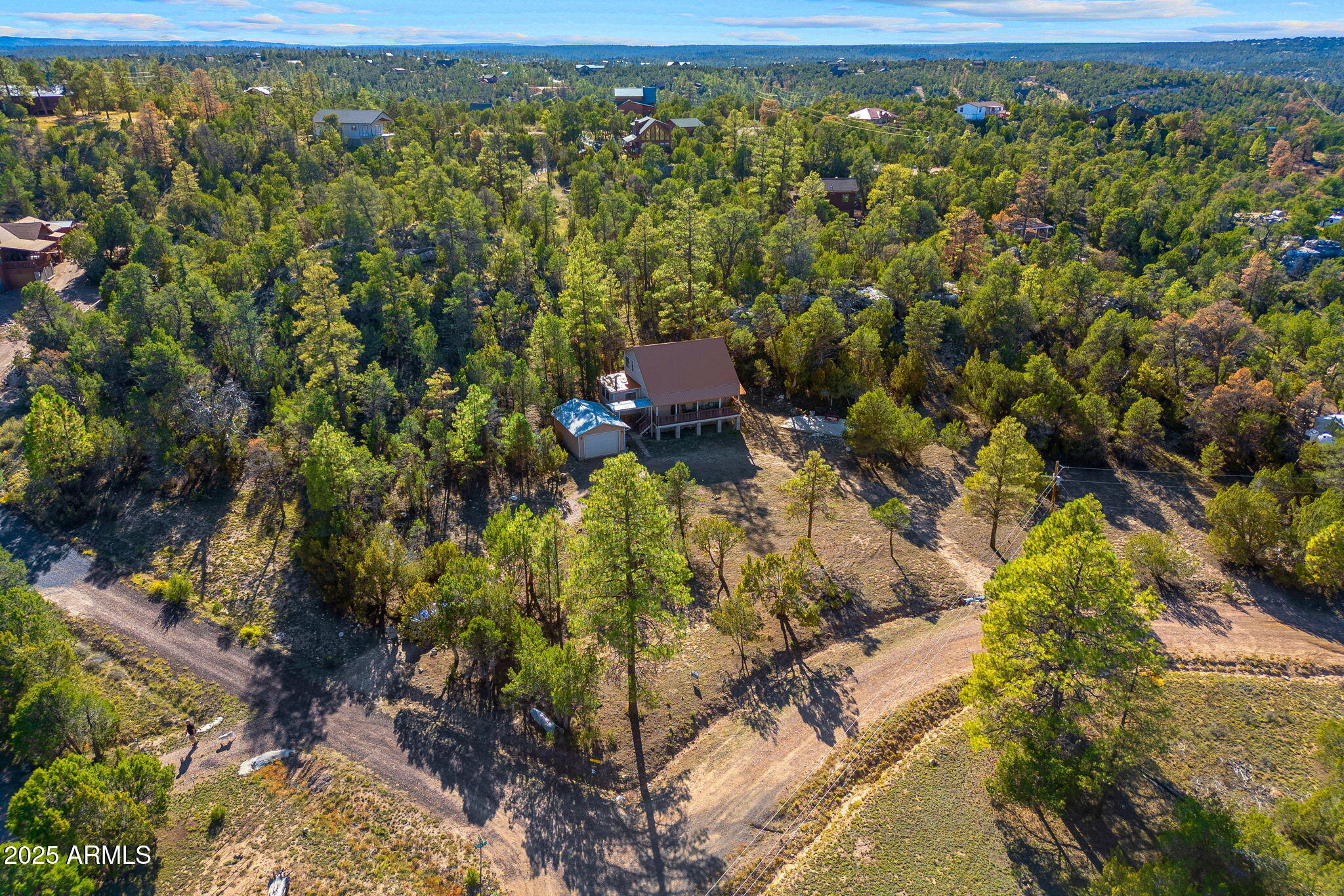 3684 Diamondback Drive Overgaard, AZ 85933 - Photo 28 of 36 a view of outdoor space and covered with trees