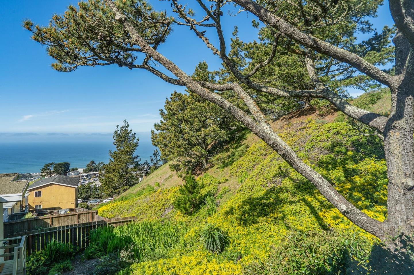 559 Manor Drive Pacifica, CA 94044 - Photo 18 of 38 a view of a yard with plants