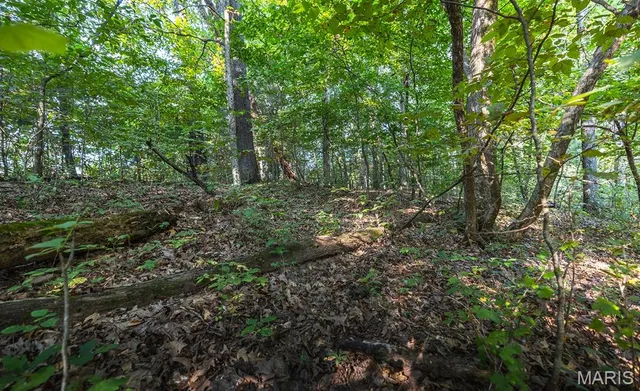 $350,000 | 0 Donegal Court, Warrenton, MO 63383