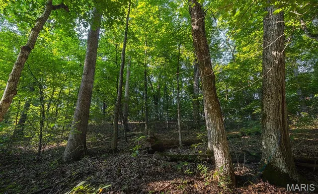 $350,000 | 0 Donegal Court, Warrenton, MO 63383